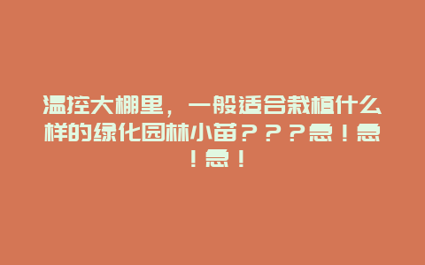 温控大棚里，一般适合栽植什么样的绿化园林小苗？？？急！急！急！