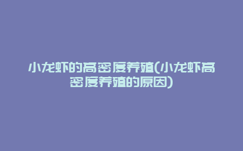 小龙虾的高密度养殖(小龙虾高密度养殖的原因)