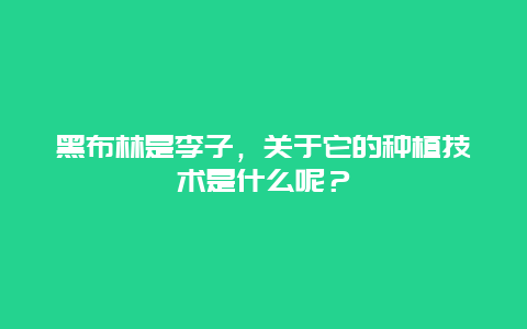 黑布林是李子，关于它的种植技术是什么呢？