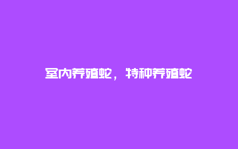 室内养殖蛇，特种养殖蛇