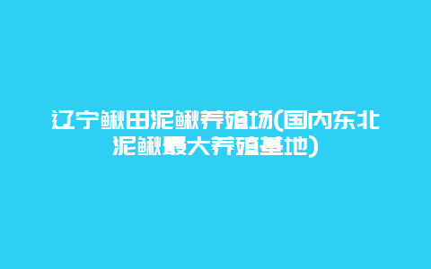 辽宁鳅田泥鳅养殖场(国内东北泥鳅最大养殖基地)