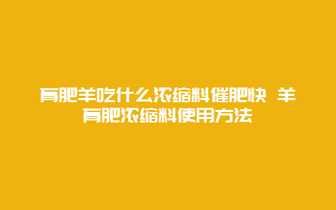 育肥羊吃什么浓缩料催肥快 羊育肥浓缩料使用方法