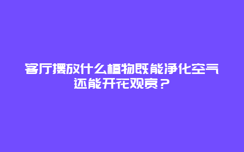 客厅摆放什么植物既能净化空气还能开花观赏？