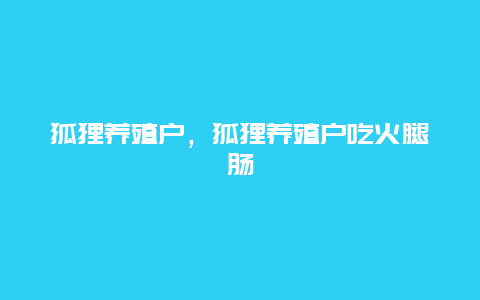 狐狸养殖户，狐狸养殖户吃火腿肠