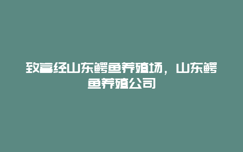 致富经山东鳄鱼养殖场，山东鳄鱼养殖公司