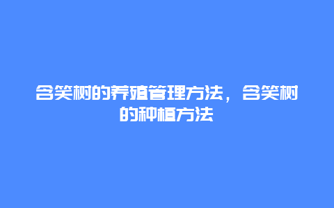 含笑树的养殖管理方法，含笑树的种植方法