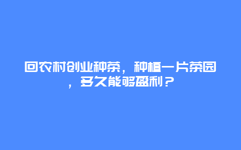 回农村创业种茶，种植一片茶园，多久能够盈利？