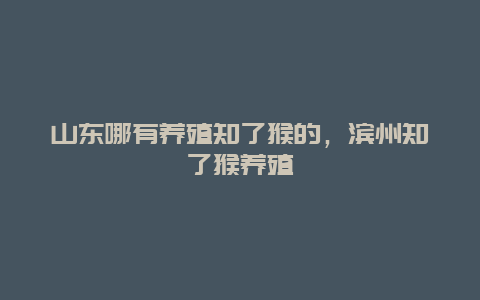 山东哪有养殖知了猴的，滨州知了猴养殖