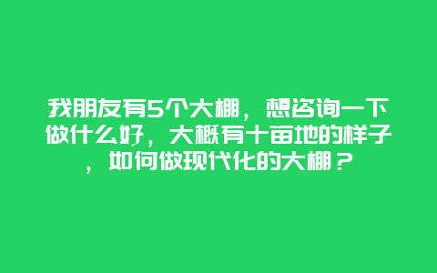 我朋友有5个大棚，想咨询一下做什么好，大概有十亩地的样子，如何做现代化的大棚？