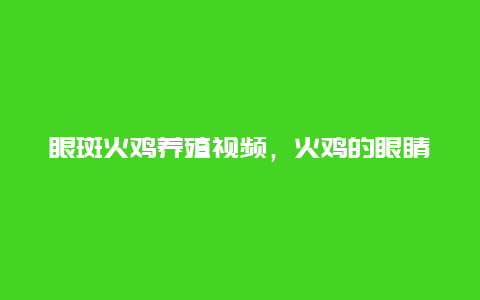 眼斑火鸡养殖视频，火鸡的眼睛