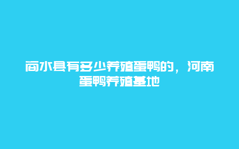 商水县有多少养殖蛋鸭的，河南蛋鸭养殖基地