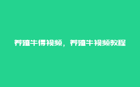 养殖牛得视频，养殖牛视频教程