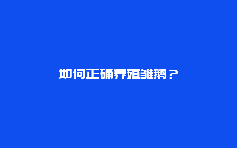 如何正确养殖雏鹅？