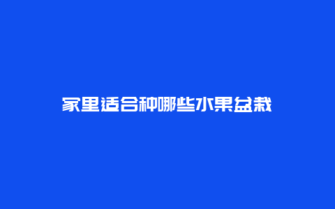 家里适合种哪些水果盆栽