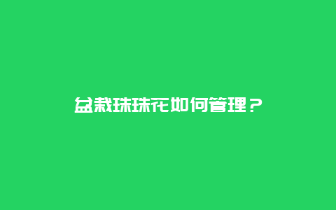 盆栽珠珠花如何管理？