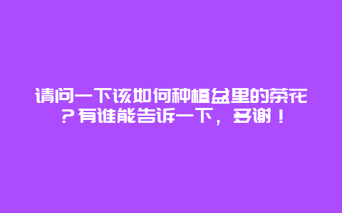 请问一下该如何种植盆里的茶花？有谁能告诉一下，多谢！