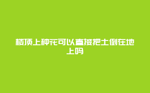 楼顶上种花可以直接把土倒在地上吗