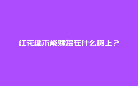 红花继木能嫁接在什么树上？