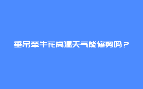 垂吊牵牛花高温天气能修剪吗？