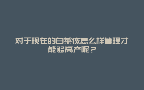 对于现在的白菜该怎么样管理才能够高产呢？