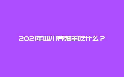 2021年四川养殖羊吃什么？