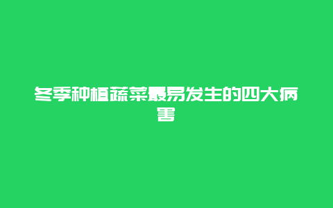 冬季种植蔬菜最易发生的四大病害