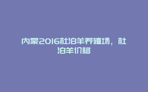 内蒙2016杜泊羊养殖场，杜泊羊价格