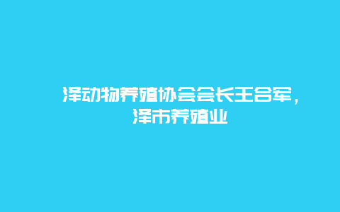 菏泽动物养殖协会会长王合军，菏泽市养殖业