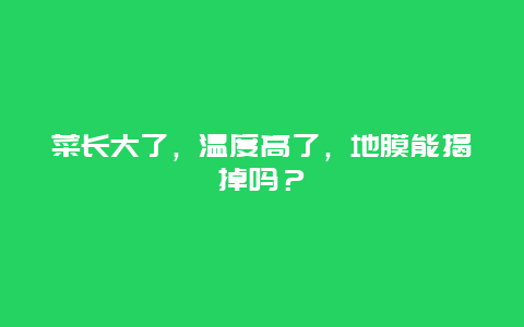 菜长大了，温度高了，地膜能揭掉吗？