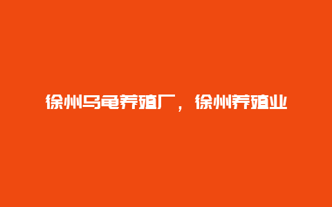 徐州乌龟养殖厂，徐州养殖业