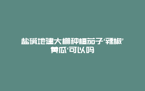 盐碱地建大棚种植茄子‘辣椒’黄瓜‘可以吗