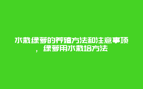 水栽绿萝的养殖方法和注意事项，绿萝用水栽培方法