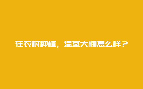 在农村种植，温室大棚怎么样？