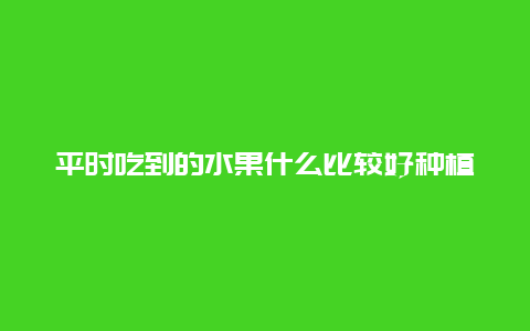 平时吃到的水果什么比较好种植