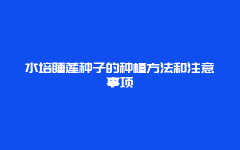 水培睡莲种子的种植方法和注意事项