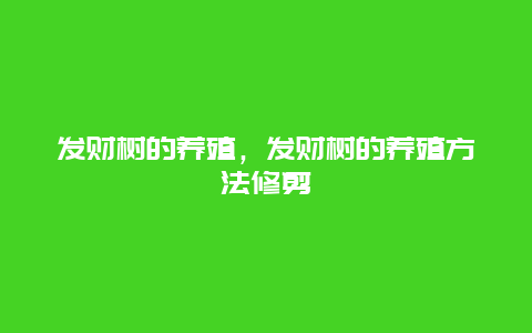 发财树的养殖，发财树的养殖方法修剪