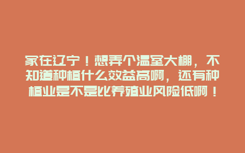 家在辽宁！想弄个温室大棚，不知道种植什么效益高啊，还有种植业是不是比养殖业风险低啊！