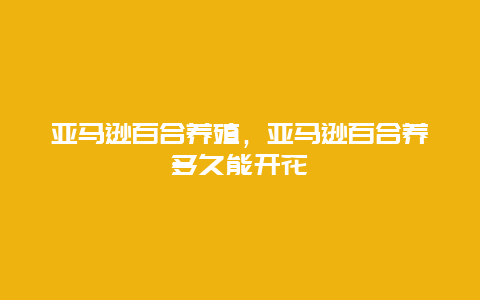 亚马逊百合养殖，亚马逊百合养多久能开花