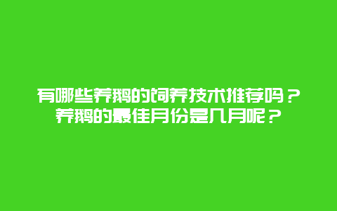 有哪些养鹅的饲养技术推荐吗？养鹅的最佳月份是几月呢？