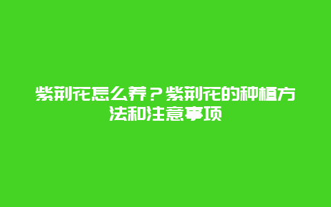 紫荆花怎么养？紫荆花的种植方法和注意事项