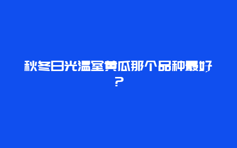 秋冬日光温室黄瓜那个品种最好？