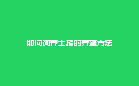 如何饲养土猪的养殖方法