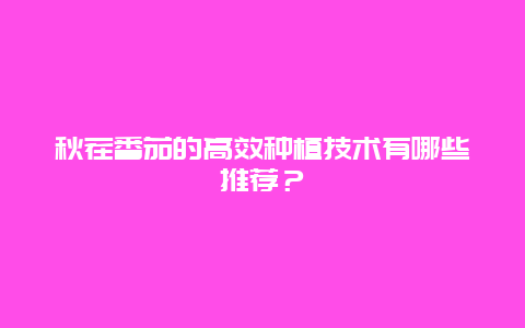 秋茬番茄的高效种植技术有哪些推荐？