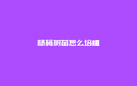 杨梅树苗怎么培植