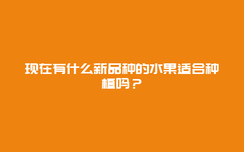 现在有什么新品种的水果适合种植吗？