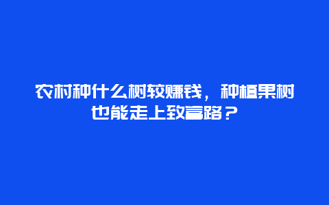 农村种什么树较赚钱，种植果树也能走上致富路？