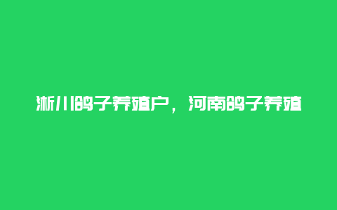 淅川鸽子养殖户，河南鸽子养殖