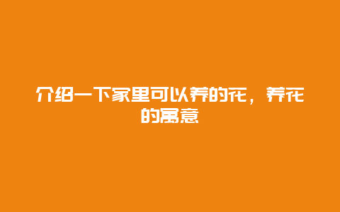 介绍一下家里可以养的花，养花的寓意