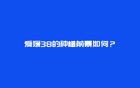 爱媛38的种植前景如何？