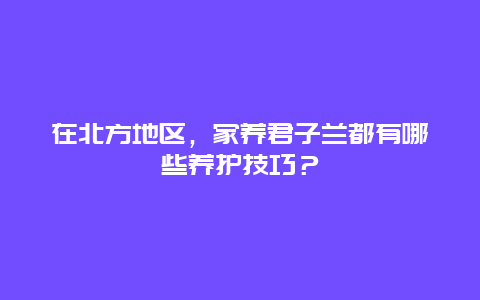 在北方地区，家养君子兰都有哪些养护技巧？